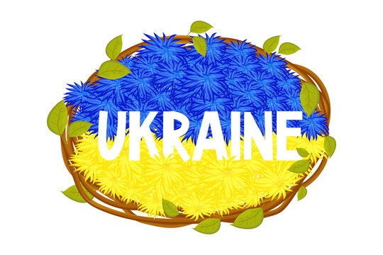 Ukrainian flag, National flag from flowers text Ukraine with two colors blue and yellow, frame from sticks with leaves in cartoon style. Elements for design. 