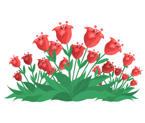 Flower bed with red tulips vector illustration. Plant, decoration of garden. Natural flower, tulip with green leaves. Buds of unblown spring flowers. Green space, gardening, landscape design concept