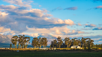 Obraz premium treeline at sunset on the farm