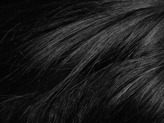 close up black tangle hair texture