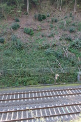FU 2020-09-13 Herchen 174 Am Hang verlaufen Eisenbahnschienen