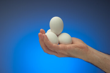 Fresh raw white eggs held in palm by Caucasian male. Close up studio shot, isolated on blue...