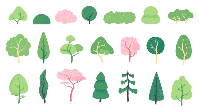 Flat minimal trees and bushes, summer city park or garden plants. Spring tree with green leaves, oak,  birch, spruce, nature landscape elements vector set