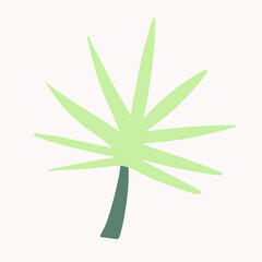 Hand drawn palm leaves isolated on white.