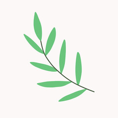 Obraz premium Hand drawn vector olive branch. White background. Isolated.