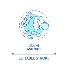 Grains and nuts turquoise concept icon. Food for bones abstract idea thin line illustration. Osteoporosis prevention. Isolated outline drawing. Editable stroke. Arial, Myriad Pro-Bold fonts used