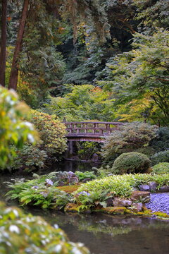 Portland Japanese Garden, Portland