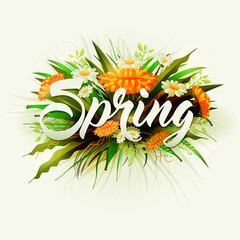Fresh spring background with grass, beautiful flowers
