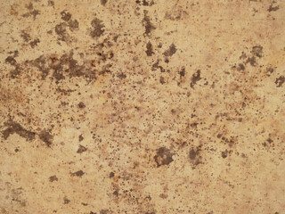 old canvas with mold texture