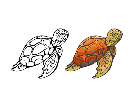 213_marine inhabitants_turtle, green, swims, sea colorful drawing, white and black, marine life, cartoon, on a white background, coloring book