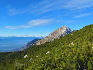 Scenic view of mountain Storzic in Kamnik-Savinja alps in Gorenjska region of Slovenia with creeping pine covering the slopes in the front and mountain Triglav and the Julian alps in the back