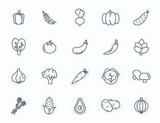 Vegetables food line vector icon. Pepper tomato outline healthy vegetable pictogram. Cucumber garlic broccoli mushroom icon