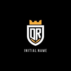 Initial DR logo with shield, esport gaming logo monogram style