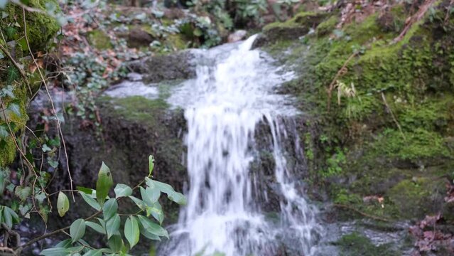 waterfall blurry effect