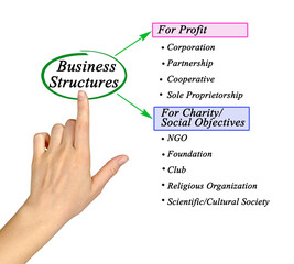 Profit and Non-profit Business Structures.