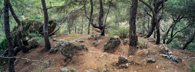 Forest near Waterfalls of Manavgat. Turkey Antalya. Panorama.