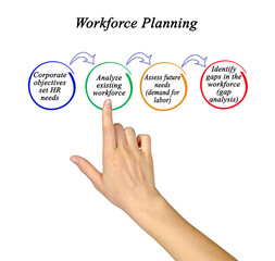  Four Components of Workforce Planning