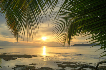 Sunset with ocean and palmtrees