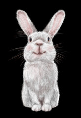 Obraz premium A beautiful fluffy cute rabbit that sits Illustration is hand-drawn in a realistic style. The year of the rabbit.