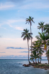 Palmtrees on small island with colorful sky