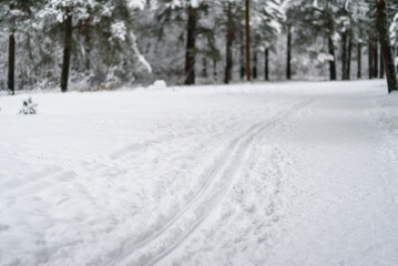 Fototapeta na wymiar Ski track at winter forest. Snow covered trees