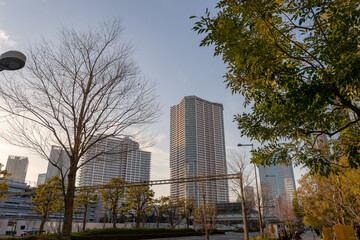 東京都江東区豊洲から見た夕方の都市景観