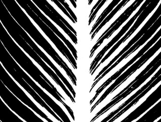 Obraz premium abstract black color paint on white background