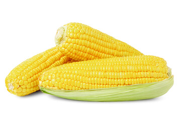 sweet corn vegetables, fresh peeled saw yellow corn kernels, piled. isolated on white background.