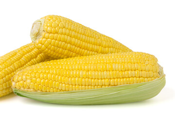 sweet corn vegetables, fresh peeled saw yellow corn kernels, piled. isolated on white background.