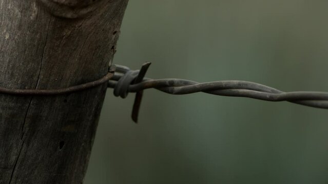 Barbwire fence in a ranch in the woods in the day.