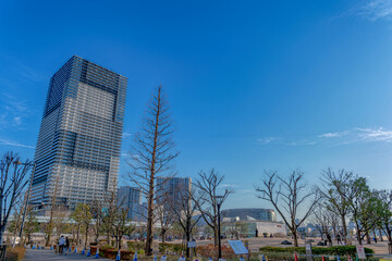 Obraz premium 東京都江東区豊洲の夕方の都市景観