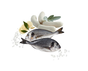 fresh fish on white background  with clipping path