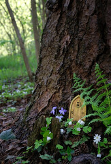 Little magic wooden fairy door and flowers in tree trunk, natural background. fairytale pixie or elf house in mystery forest. eco-home © Ju_see