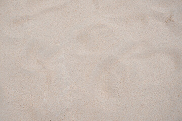 Fototapeta na wymiar Sandy beach for background. Top view