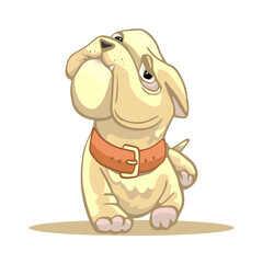 165_dogs and accessories_cute french bulldog dog runs, goes, cartoon brown collar, vector illustration
for graphics, content, banner and greeting card