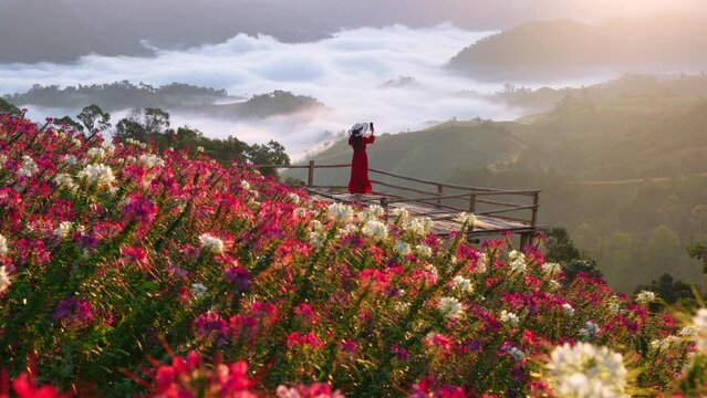 View point of the sea of mist and flower garden in Mae Sot District, Tak Province, Thailand.