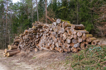 Dicke, gestapelte Baumstämme in einem  Wald (Forstwirtschaft / Waldwirtschaft / Holzwirtschaft) - Holzpellets