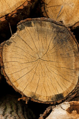 Tree rings old weathered wooden texture with a cross section of cut wood. In pile of wood.