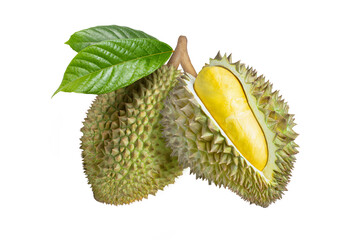 durian isolated on white background