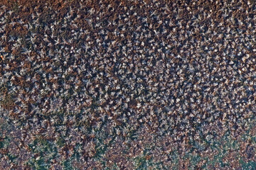 Colorful frosty metal surface