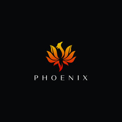 phoenix fire logo design vector graphic