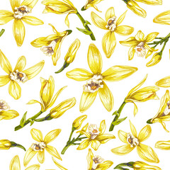 158_ vanilla_botanical illustration of vanilla orchid,realistic drawing, sweet fragrant fresh vanilla flower, vanilla dry sticks set close-up, buds, branch, liana, foreground, seamless pattern