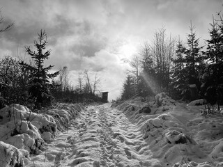 Winterlandschaft 