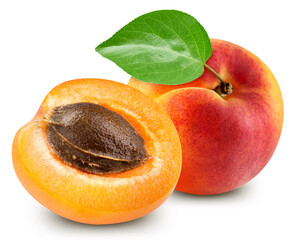 Apricot fruit with leaf isolate