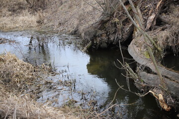 Beautiful meandering river