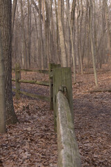 Perspective of a wooden fence treading outward into the forest.