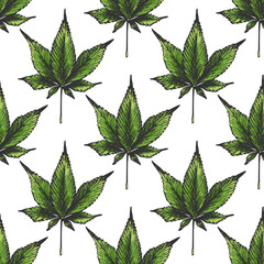 147_cannabis sativa, indica_cannabis leaf icon, cannabis indica, isolate, white background, seamless pattern,