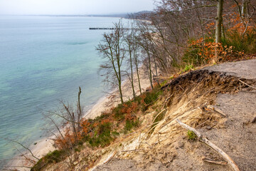 Subsiding slope of Klif Orlowski Cliff - loess steep shore undermined by Baltic Sea waves in Gdynia Orlowo in Pomerania region of Poland