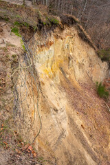 Subsiding slope of Klif Orlowski Cliff - loess steep shore undermined by Baltic Sea waves in Gdynia...