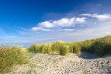 Poster de jardin Mer du Nord, Pays-Bas the dunes, Renesse, Zeeland, the Netherlands
